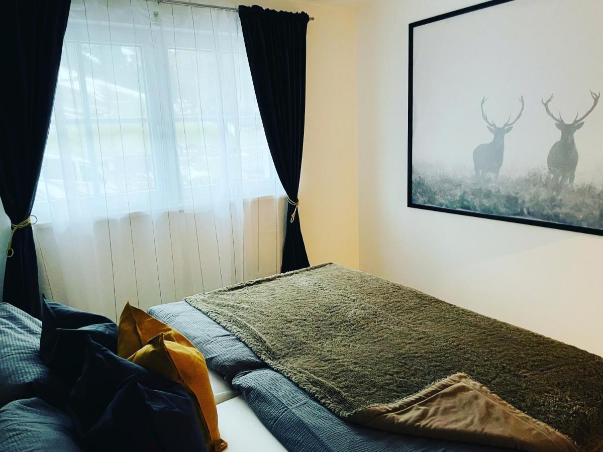 Mountainfloor Apartment Гросарл Екстериор снимка